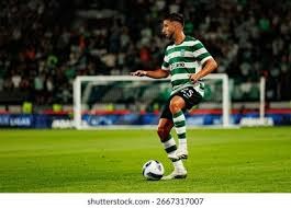 2025 年 11 月：多伦多蓝鸟队在季后赛中连续击败洋基、水手，挺进世界大赛