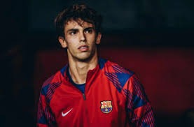 博彩行业的抗风险能力（博彩业的风险抵御能力）