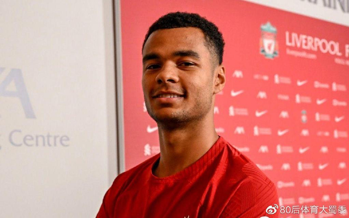 季的战术布 季的战术布